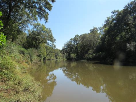 Land In Blount County Al On Blue Springs Creek And The Warrior River