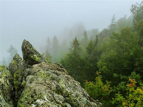 Огурец Таганай Фото — Картинки фотографии