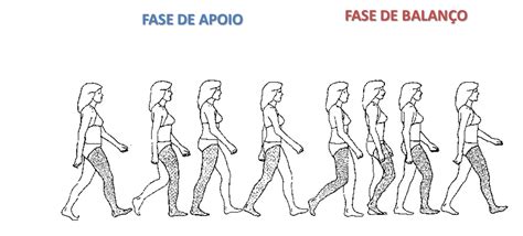 Fases Da Marcha Fisioterapia - Fases Da Marcha Fisioterapia - RETOEDU