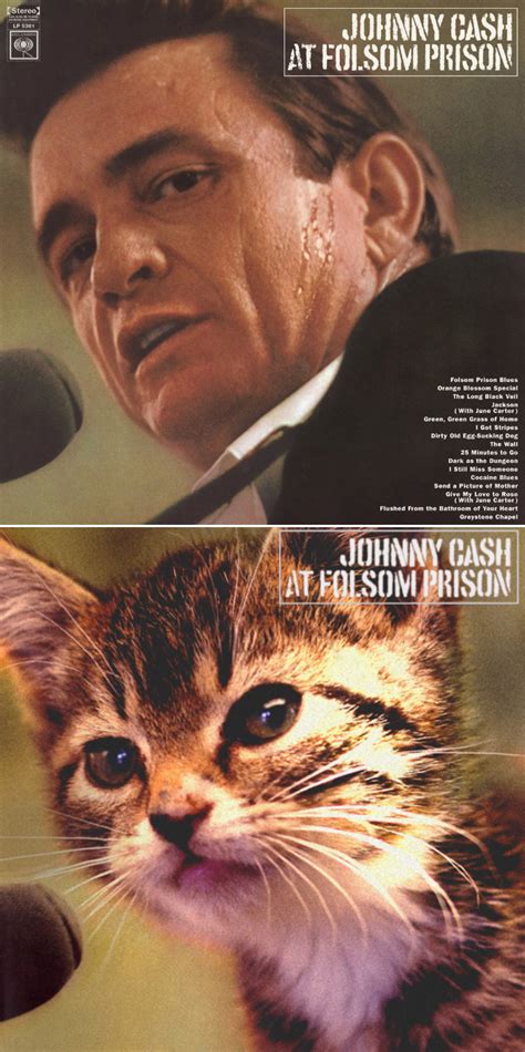 Famous Album Covers Reimagined With Kitten Charm Barnorama