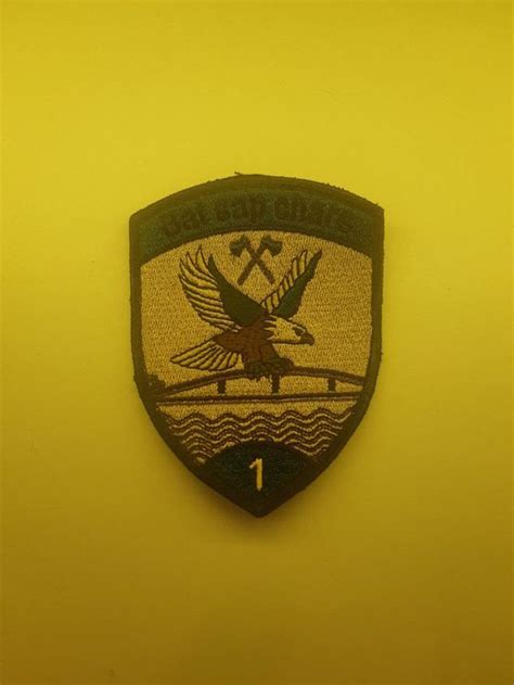 BADGE ECUSSON MILITAIRE SUISSE BAT SAP CHARS 1 Kaufen Auf Ricardo