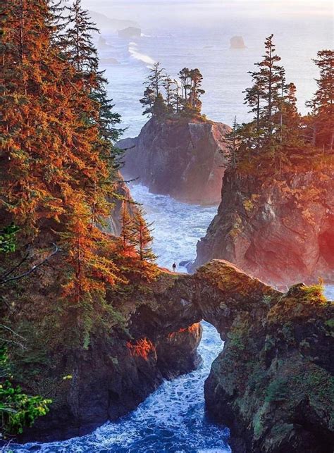 Brookings Oregon Photo By Glenn Lee Robinson In 2020 Southern