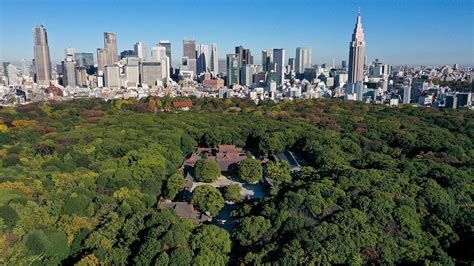 Creating Serenity The Construction Of The Meiji Shrine Forest