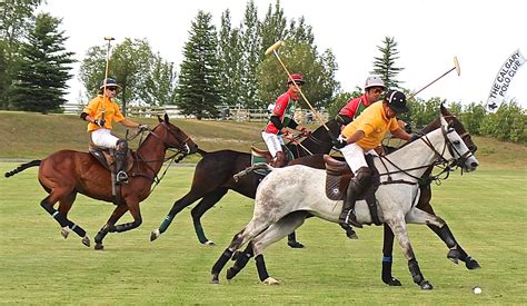 Calgary Polo Club