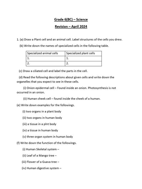 G6 Science Revision Paper Pdf Tissue Biology Plants