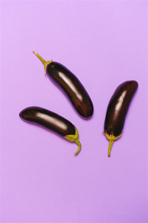 How To Grow Eggplant From Seeds | Gardening With Mans