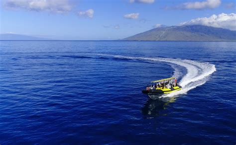 Maui Snorkel Charters Kihei 2022 Lohnt Es Sich Mit Fotos