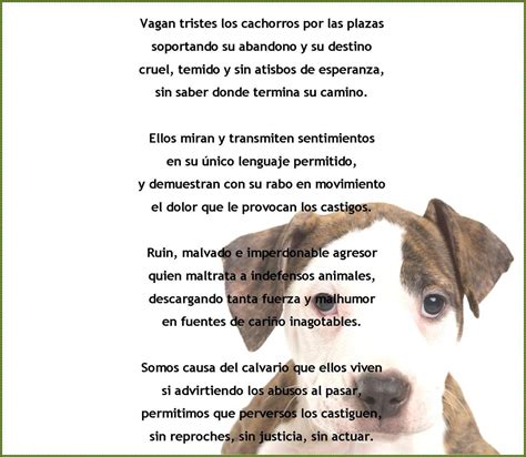 Poema De 4 Estrofas Y 4 Versos Brainly Lat