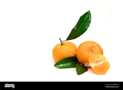 Mandarins With Leaves On A Light Background Hi Res Stock Photography