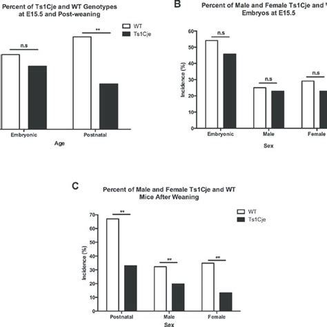 Prenatal And Postnatal Genotype And Sex Distribution In The Ts1cje Mice