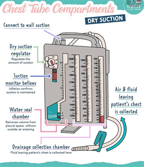 Chest Tube Compartments Dry Suction Medizzy