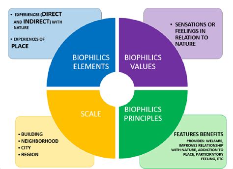 Synthesis Of Biophilic Design Parameters Source Elaborated By The