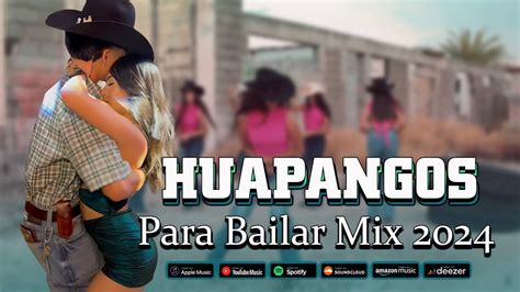 Mix De Huapangos Puros Huapangos Para Bailar Mix