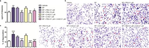 Palmitoylethanolamide Counteracts Substance P Induced Mast Cell