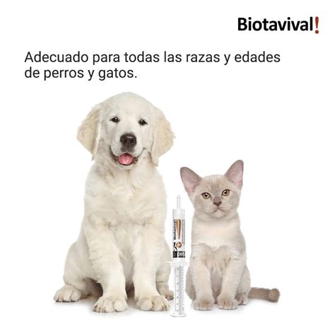 Compra Biotalival Probi Ticos Para El Tracto Digestivo Perros Y Gatos