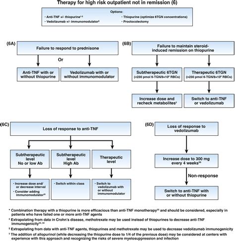 Ulcerative Colitis Care Pathway Gastroenterology