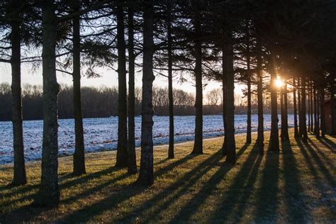 Wallpaper Sunlight Trees Landscape Sunset Sea Reflection Snow