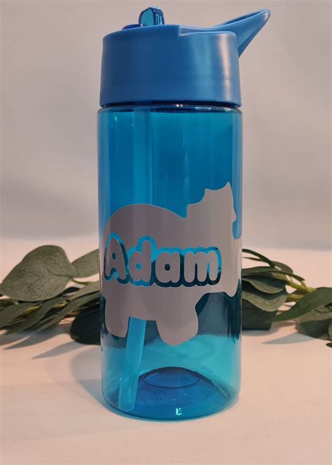 Personalised Kids Water Bottle Dinosaurs Back To School Etsy Uk