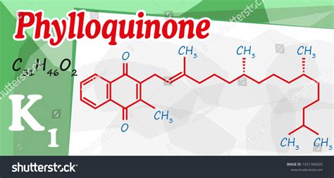 Vitamin K Phylloquinone Structure Formula Stock Vector Royalty Free