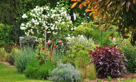 Comment Creer Un Beau Massif Au Jardin Jardin De Luchane