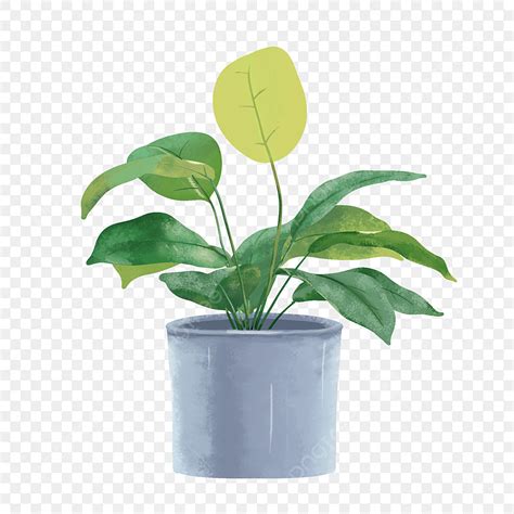 Green Potted Plants White Transparent Hand Painted Fresh Green Potted