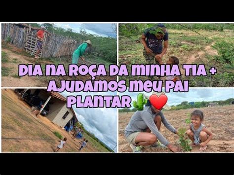 Dormimos Na Roca Da Minha Tia Ajudamos Meu Pai Plantar Procurando