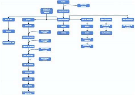 Conoce Y Aprende La Estructura Del Organigrama De Un Restaurante Sexiz