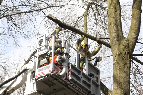 Brandweer Verwijdert Gevaarlijke Hangende Takken Van Bomen Eemnes