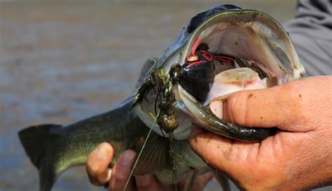 Largemouth Bass Frog Lures