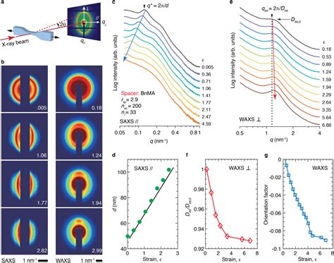 Figure 4 From A Universal Strategy For Decoupling Stiffness And