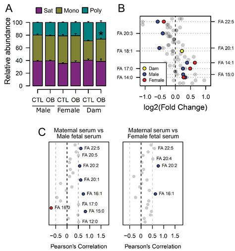 Figures And Data In Maternal Diet Induced Obesity During Pregnancy