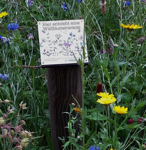 Bl H Und Streuobstwiesen