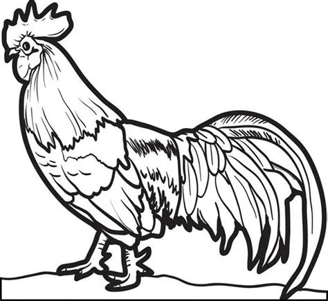 Cute Chicken Coloring Pages PDF For Children - Coloringfolder.com