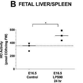 Ho Activity In Placentas And Fetal Organs After Lps At A Dose Of