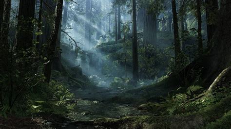 Endor Wallpapers - Top Free Endor Backgrounds - WallpaperAccess