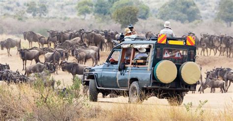 7 Dagen Masai Mara Lake Nakuru Samburu Safari Met 4x4 Jeep