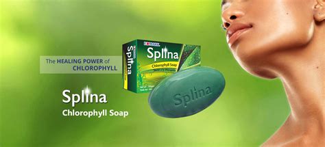 Savon Splina Chlorophylle Nema Poids Idéal