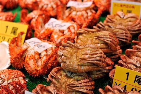 Kuliner Kepiting Di Otaru Hokkaido Jepang Paket Wisata Liburan Tour