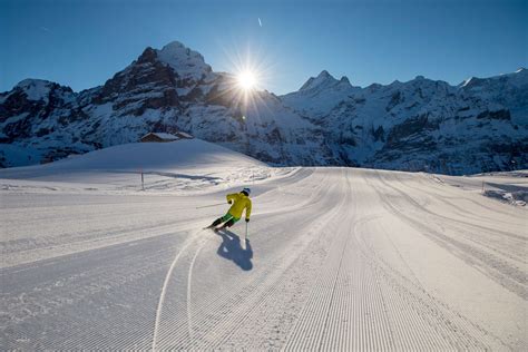 Ski Resorts In Grindelwald And The Jungfrau Region Grindelwald Tourism