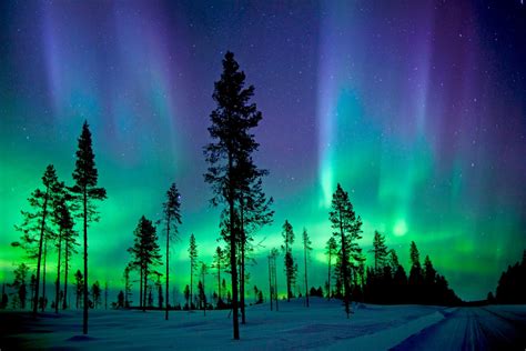 winter forest aurora stunning hd northern lights snowy landscape