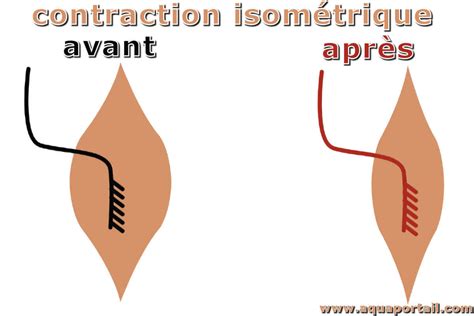 Contraction isométrique définition et explications