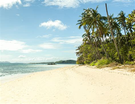 11 Lieux à Visiter à Palawan Que Faire Où Aller Carte Touristique