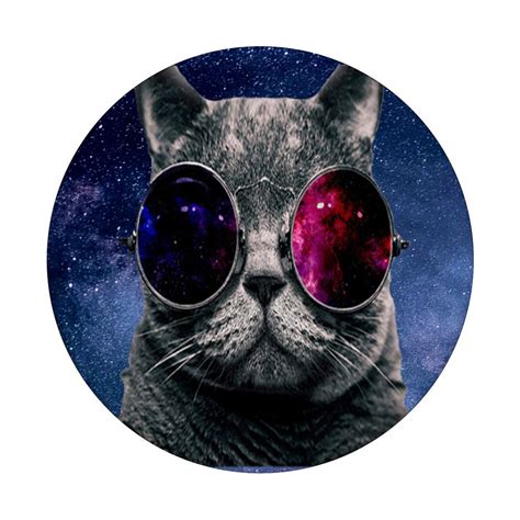 Space Cat Glasses