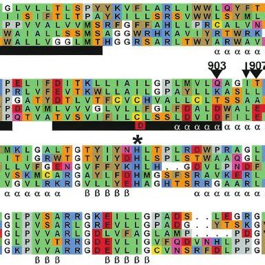 Multiple Sequence Alignment Of The NS2 Region Of HCV Isolates And Of