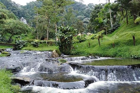 Santa Rosa De Cabal Thermal Hot Springs Getyourguide