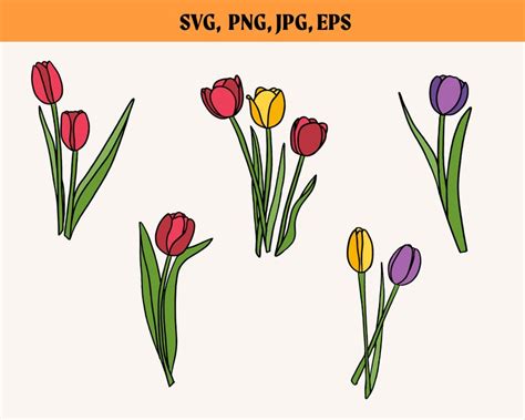 Spring Tulips Svg Bundle Tulip Svg Spring Flowers Svg Floral Svg