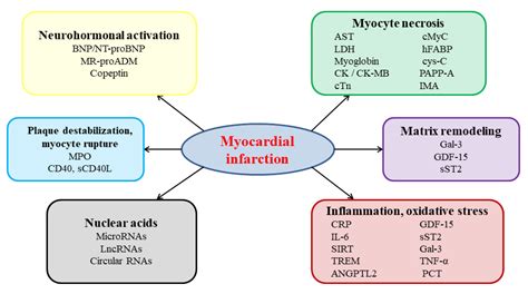 Diagnostics Free Full Text Past Present And Future Of Blood