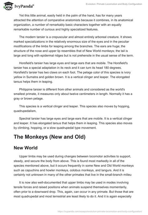 Evolution Primate Locomotion Body Configuration Words