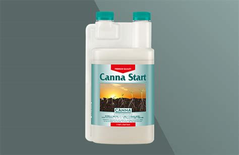 Canna Start Canna Japan