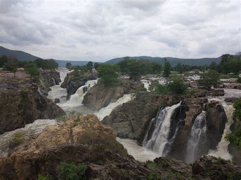 Hogenakkal Falls 2020 What To Know Before You Go With Photos